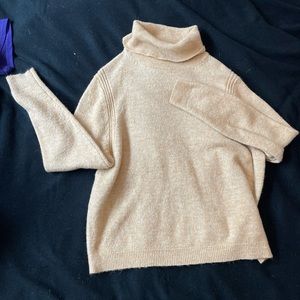 Turtleneck Sweater